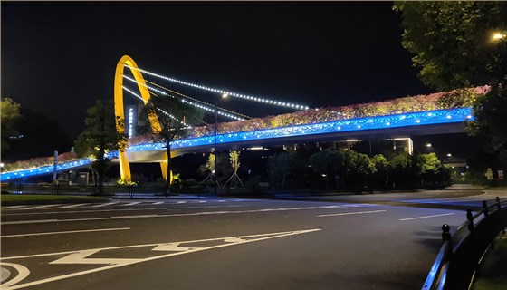 中山小镇人行天桥亮化工程案例