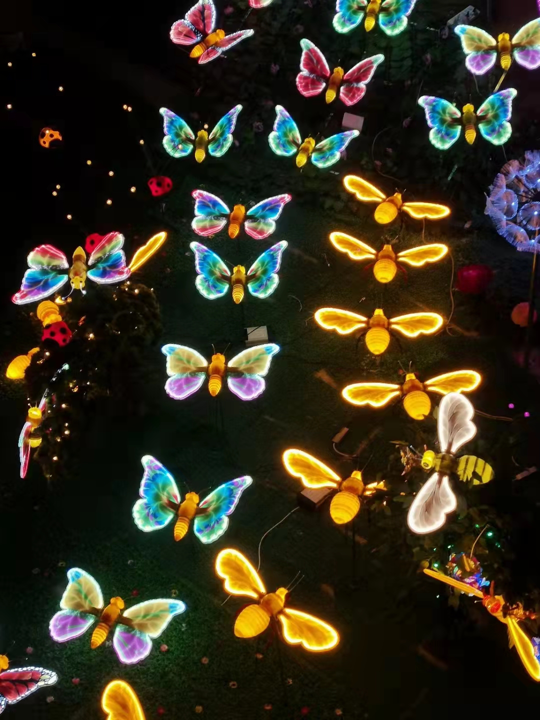 03f2892b421baca2d08e2bdc69b54f6